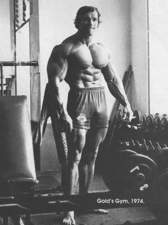 Arnold Schwarzenegger Bodybuilding Foto Poster Wand Aufdruck Arnie Mr Universe